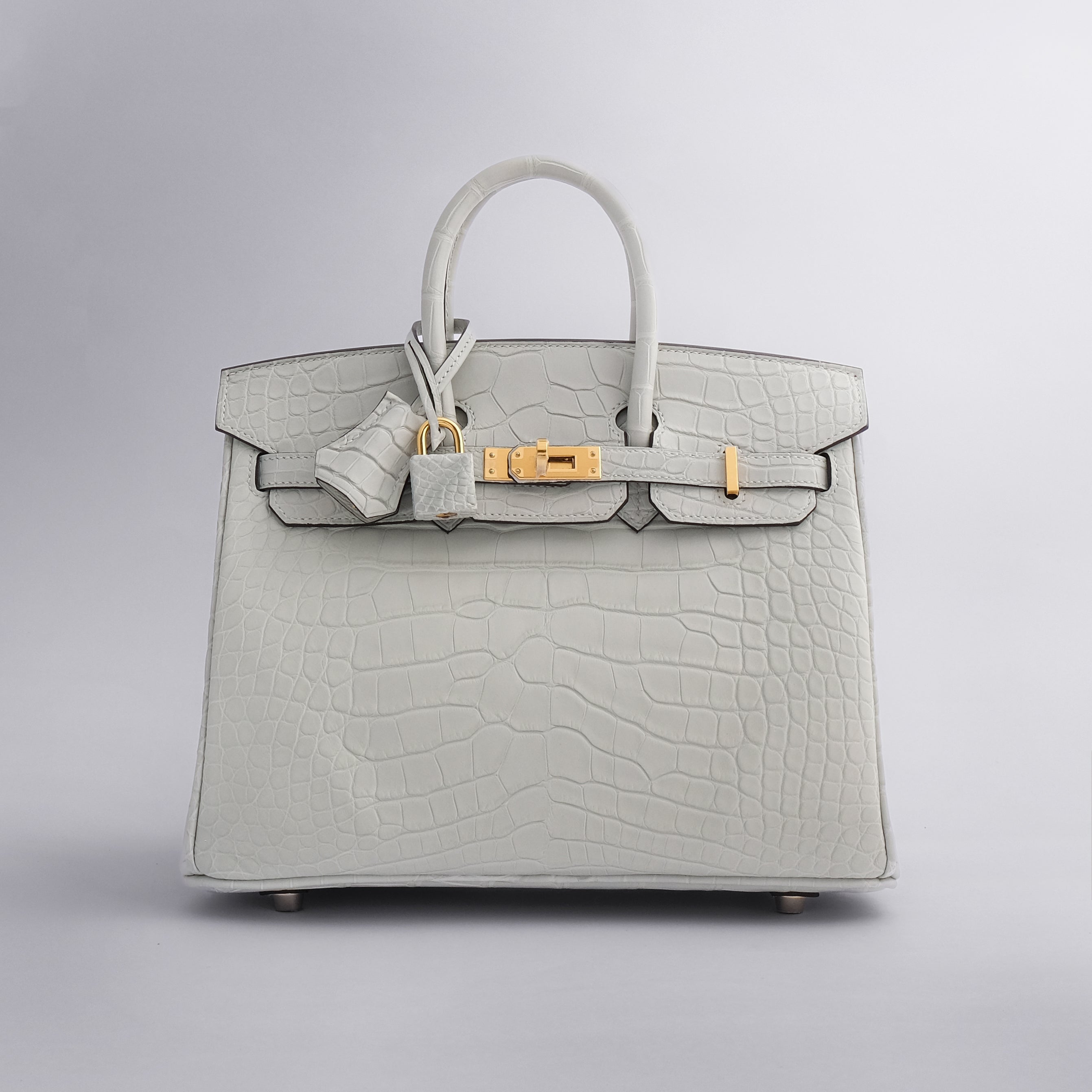 Hermès Birkin 25 Alligator Gris Neve Gold Hardware Matte