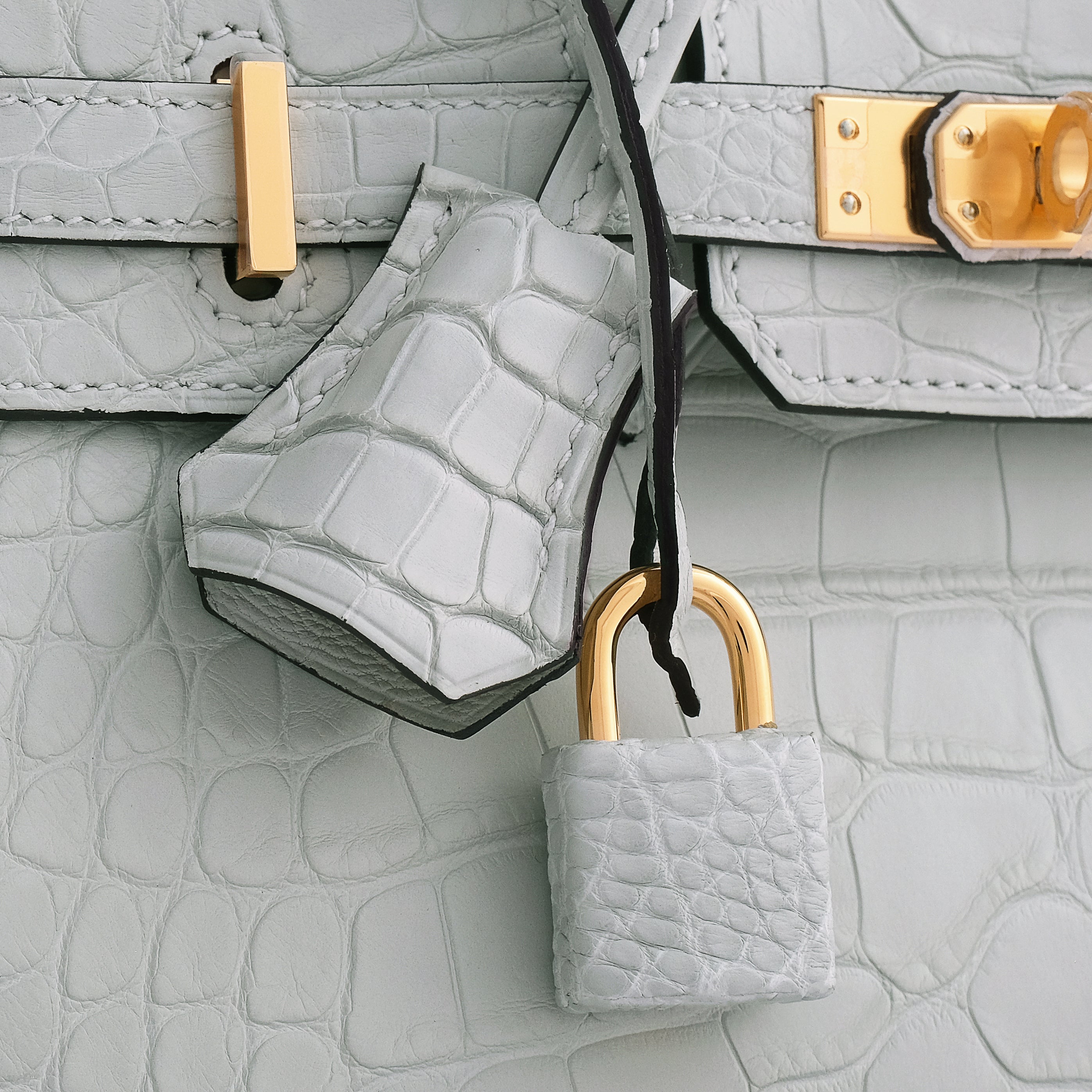 Hermès Birkin 25 Alligator Gris Neve Gold Hardware Matte