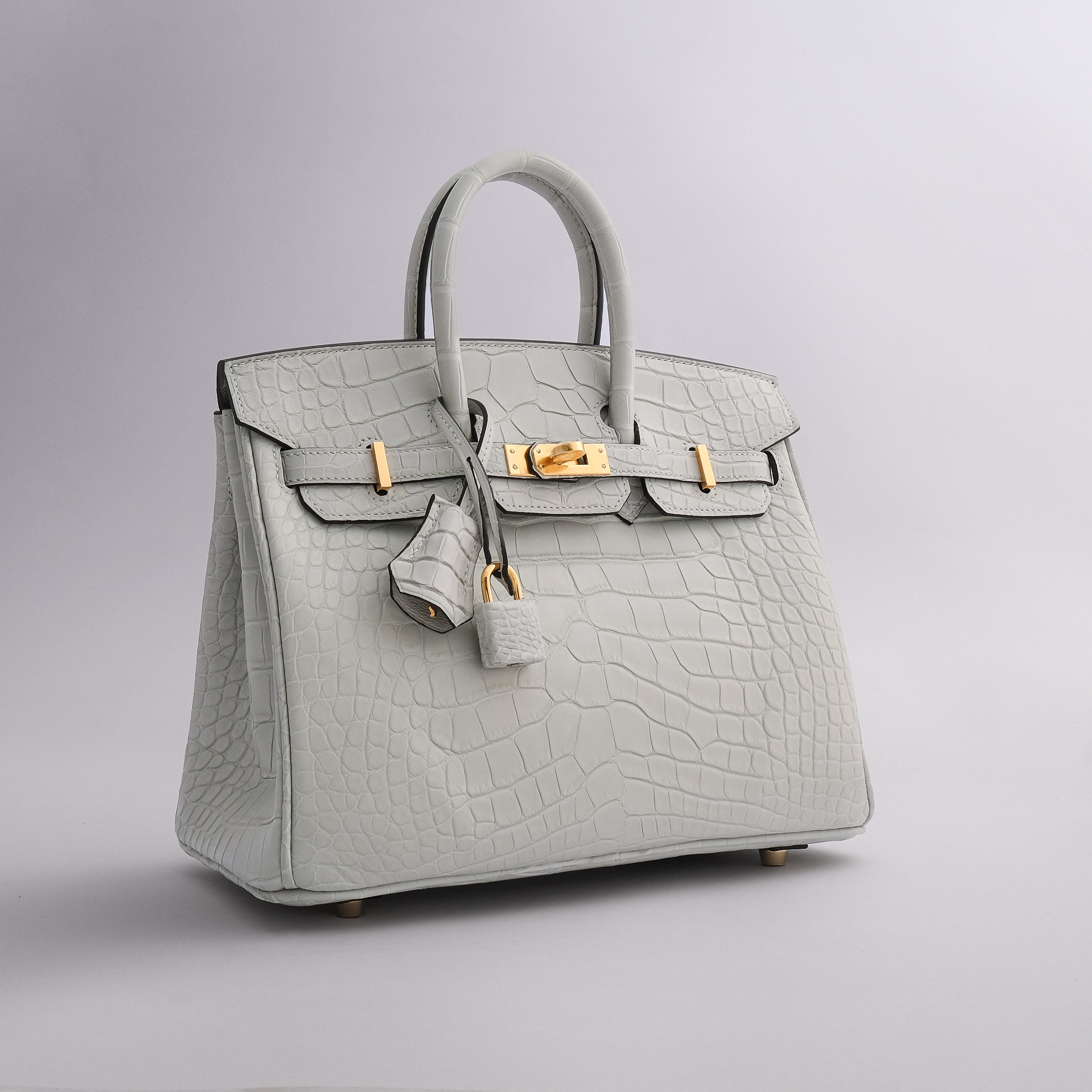 Hermès Birkin 25 Alligator Gris Neve Gold Hardware Matte