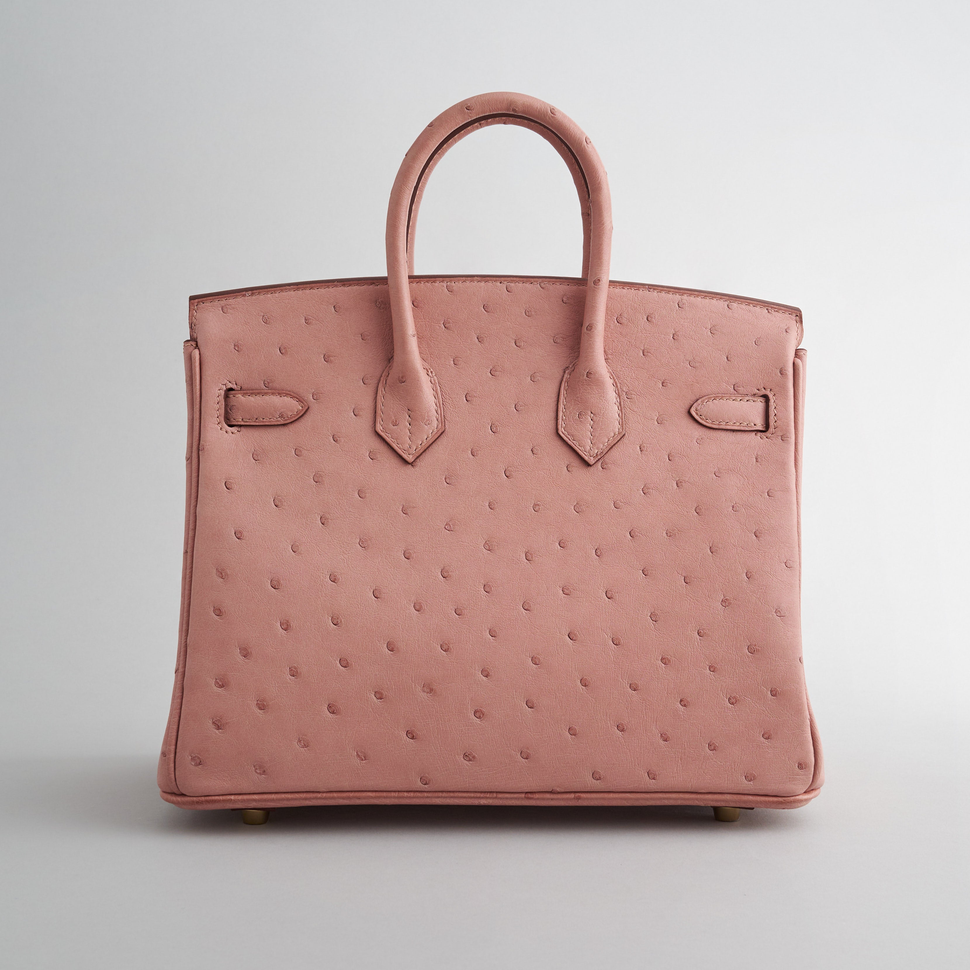 Hermès Birkin 25 Ostrich Terre Cuite Gold Hardware