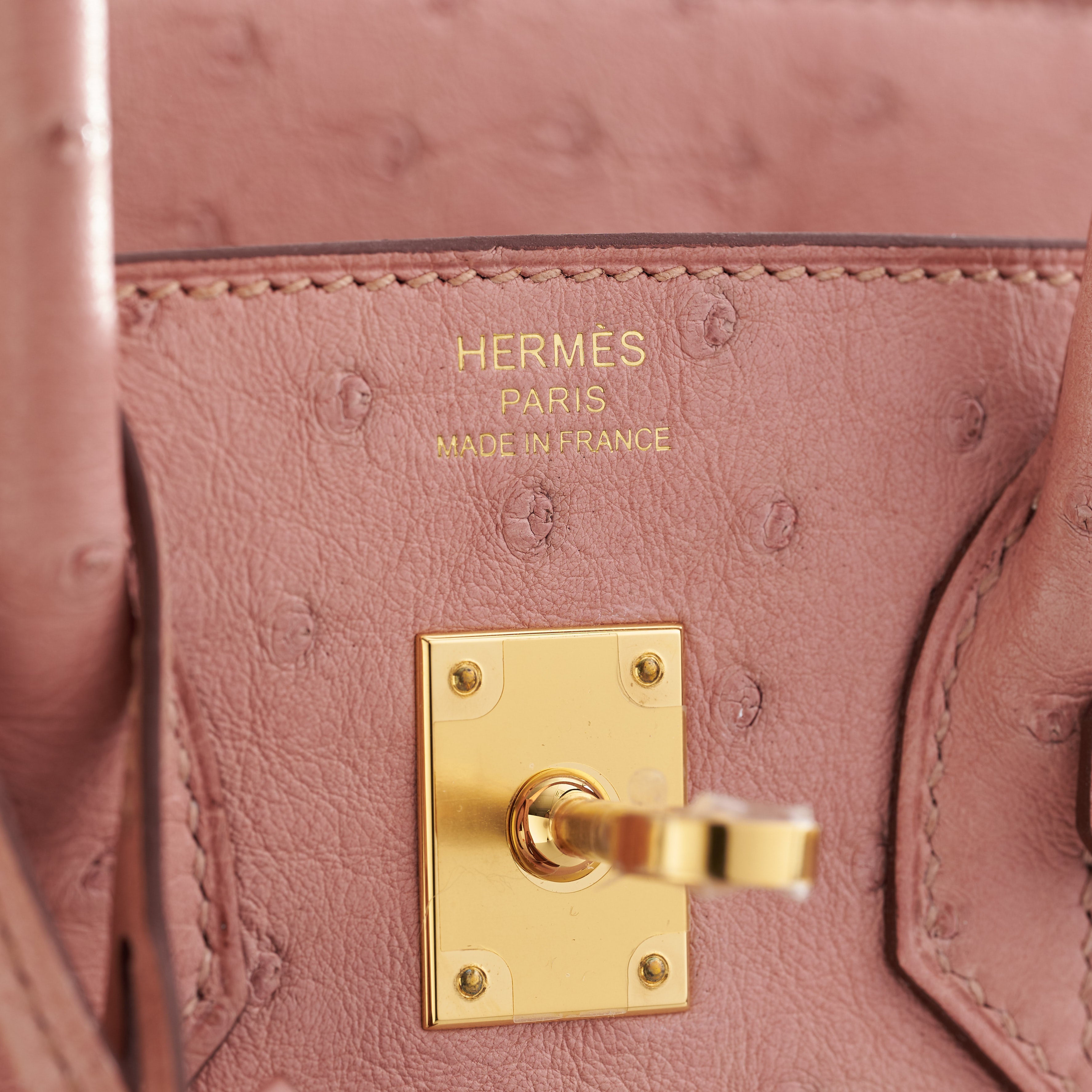 Hermès Birkin 25 Ostrich Terre Cuite Gold Hardware