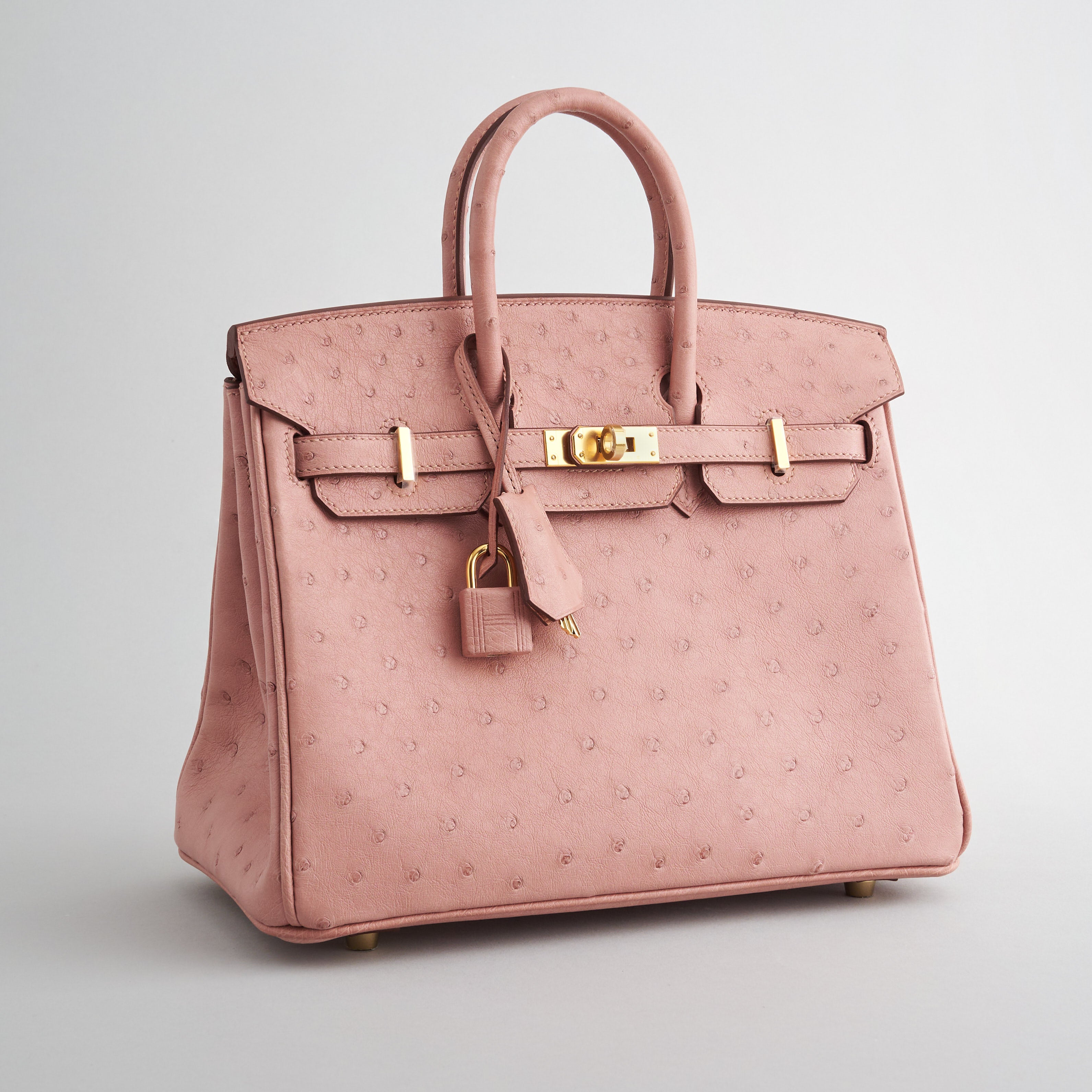 Hermès Birkin 25 Ostrich Terre Cuite Gold Hardware