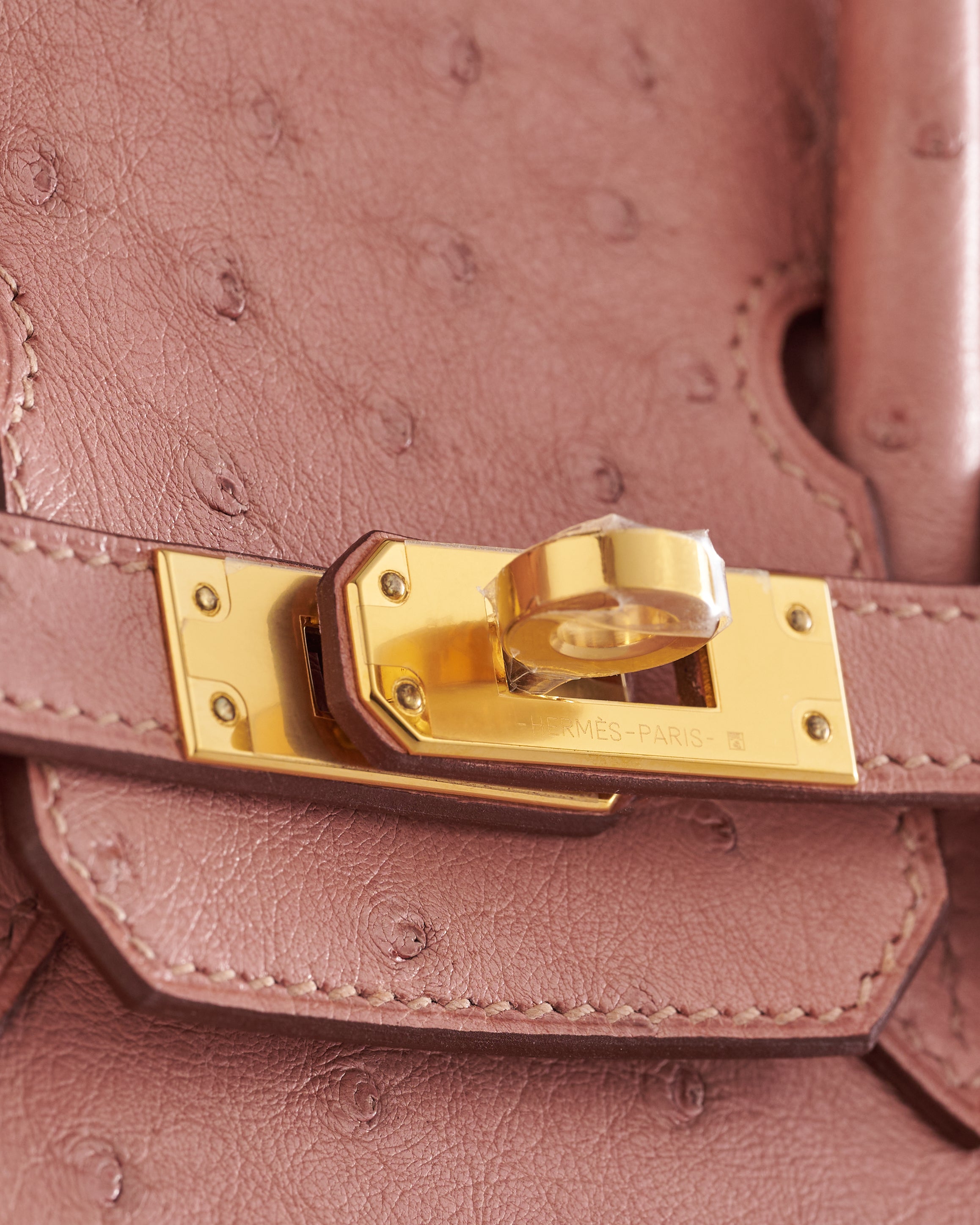 Hermès Birkin 25 Ostrich Terre Cuite Gold Hardware