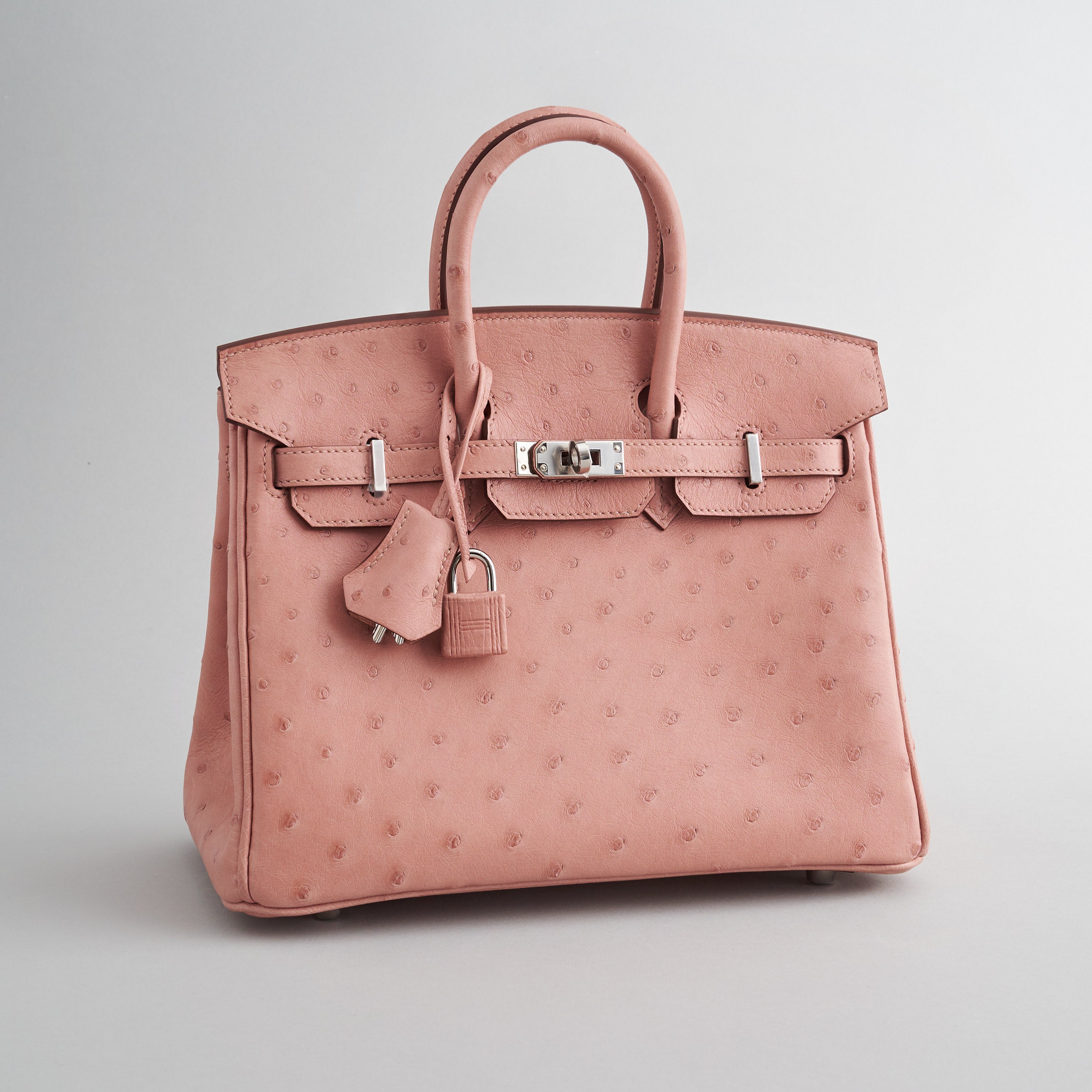 Hermès Birkin 25 Ostrich Terre Cuite Palladium Hardware