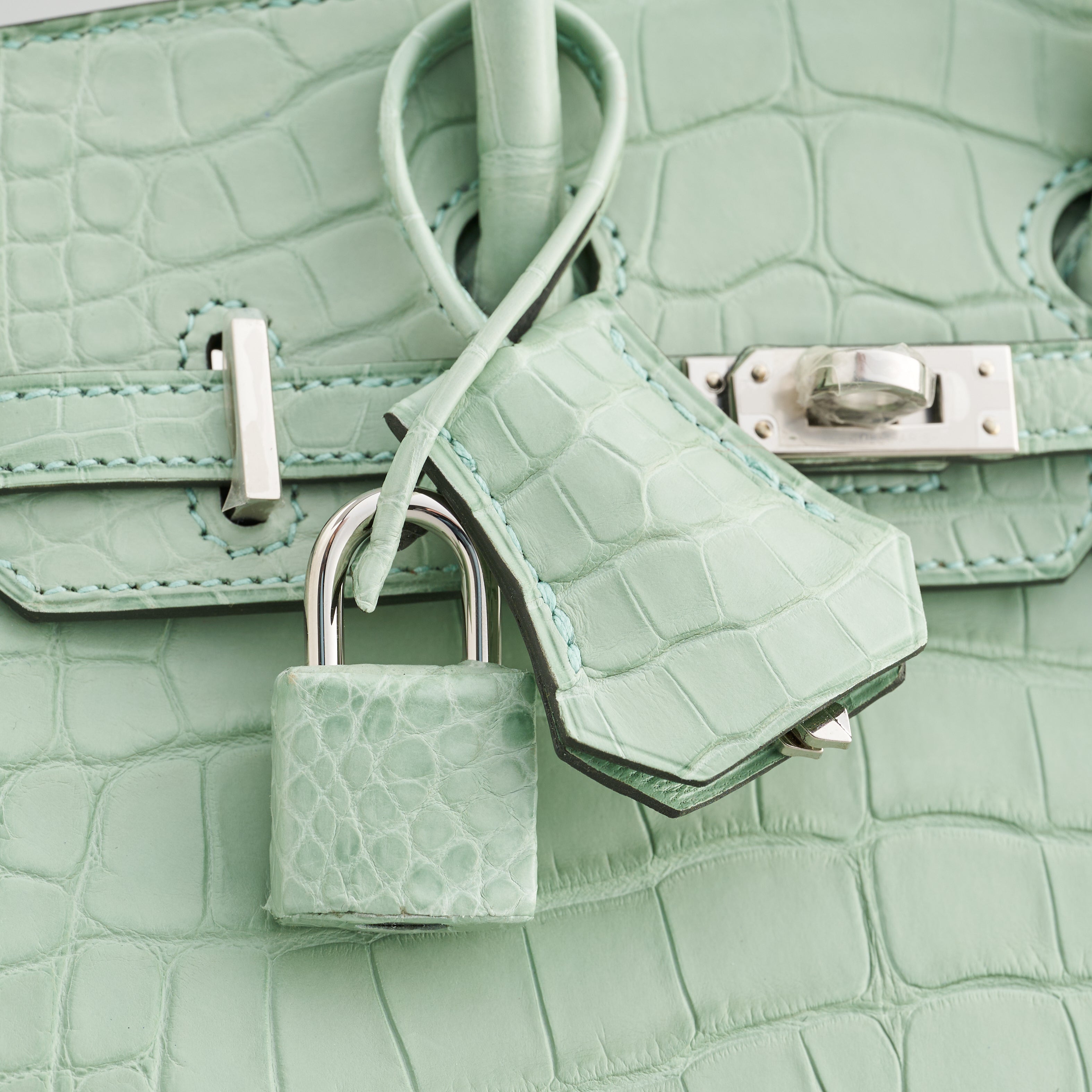 Hermès Birkin 20 Alligator Vert D'Eau Matte Sellier Palladium Hardware