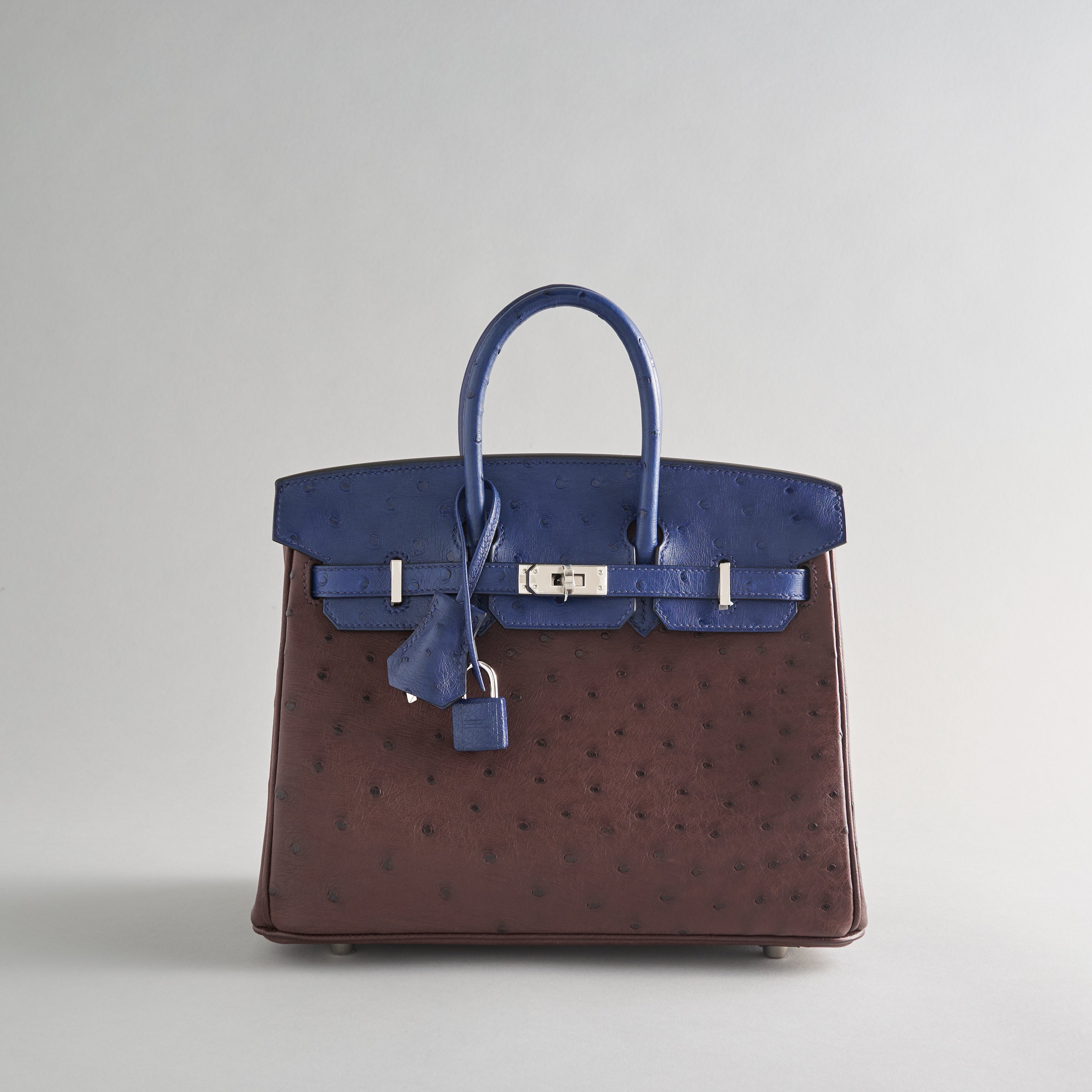 Hermès Birkin 25 Ostrich Rouge Sellier/Blue Iris Pallidum Hardware