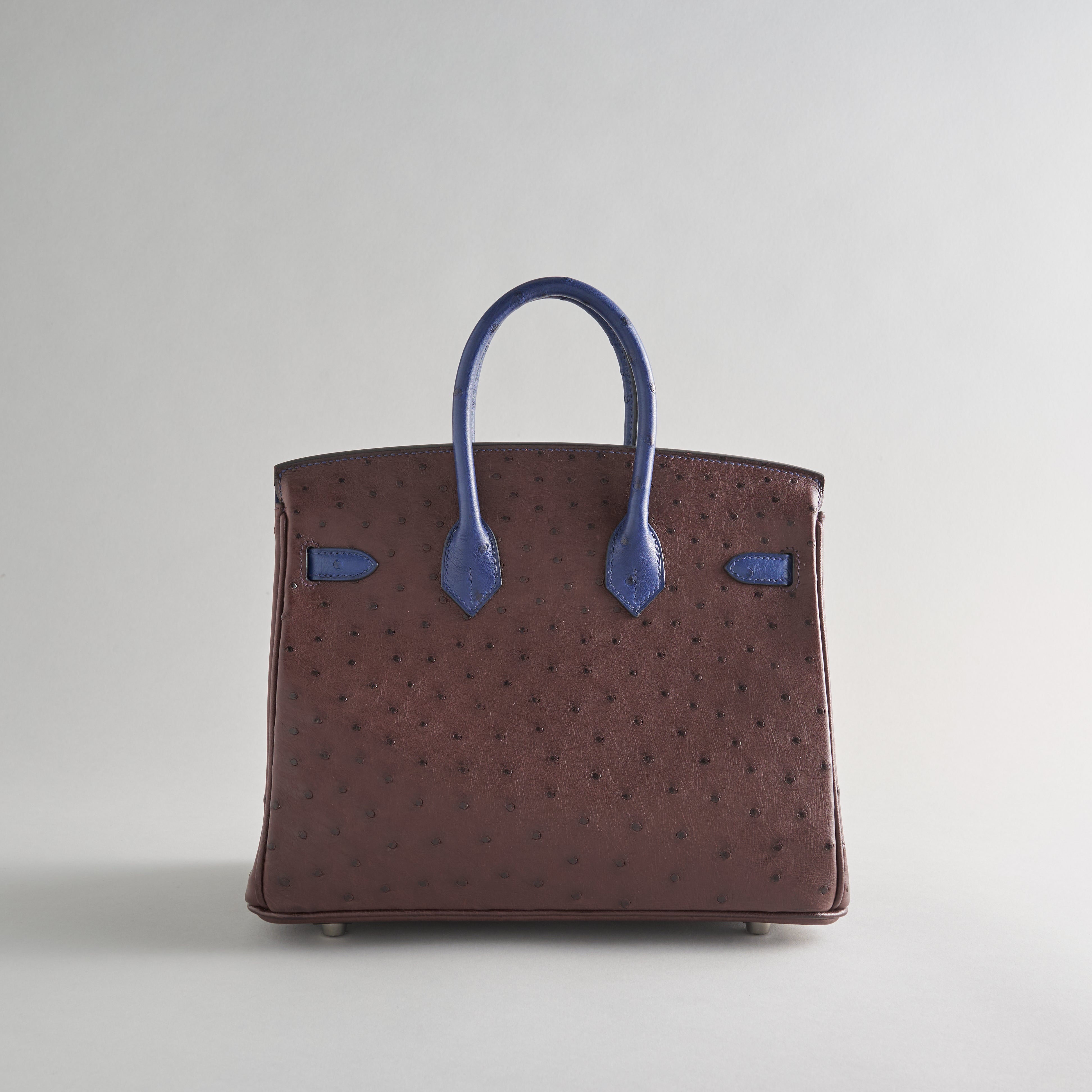 Hermès Birkin 25 Ostrich Rouge Sellier/Blue Iris Pallidum Hardware