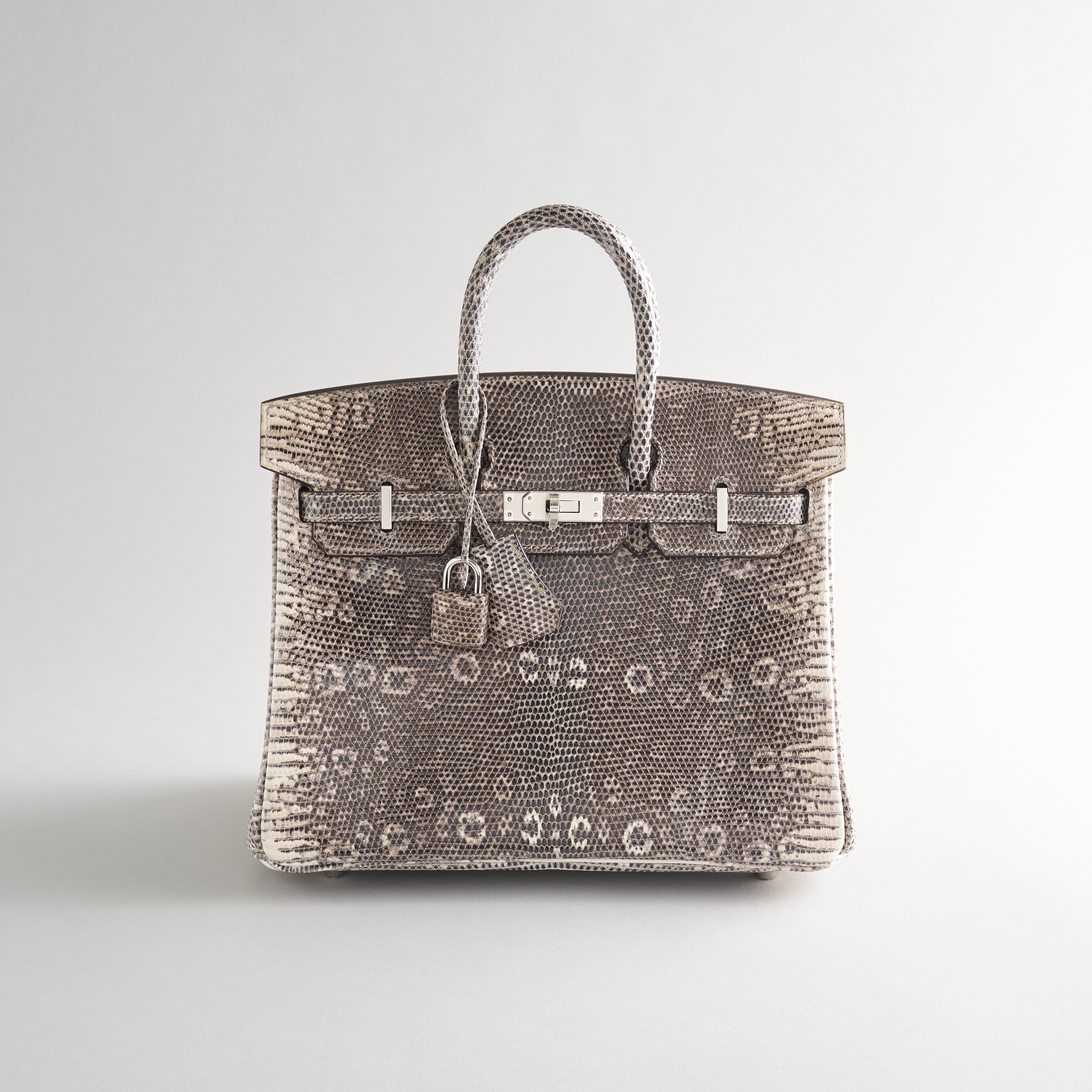 Hermès Birkin 25 Lizard Ombre Palladium Hardware