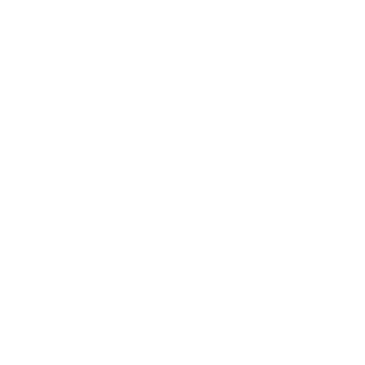 WhatsApp Icon